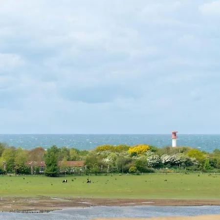 公寓 Ferienpark-heiligenhafen-haus-i-wohnung-08-08