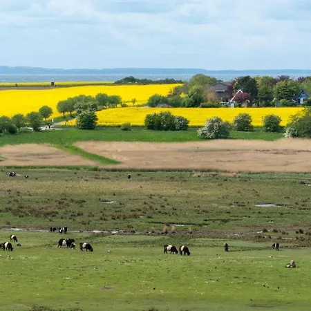 Ferienpark-heiligenhafen-haus-i-wohnung-08-08 公寓 海利根港